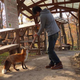 Illustration for article titled You Can Experience Fox Heaven in Japan